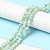 Natural Glass Beads Strands G-I247-32A-2