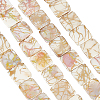 2 Strands Drawbench Style Natural Freshwater Shell Beads Strands SHEL-BC0001-031-1