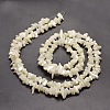 Natural White Mother of Pearl Shell Chip Bead Strands G-M205-63-2