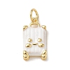 Brass Enamel Pendants KK-B155-18G-2