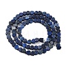 Dyed Natural Lapis Lazuli Beads Strands G-M403-A30-01-3