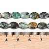 Natural African Turquoise(Jasper) Beads Strands G-H349-A01-16-5
