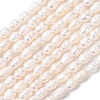 Natural Cultured Freshwater Pearl Beads Strands PEAR-F020-02A-2