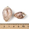 Electroplate Natural Shell Pendants SSHEL-N042-06-3