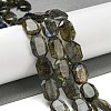 Natural Labradorite Beads Strands G-P544-B08-01-2