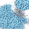 Opaque Glass Seed Beads SEED-S023-01C-03-1