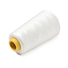 3000M Polyester Machine Embroidery Threads FB-CBA5736-01G-2