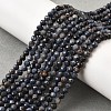 Natural Sapphire Beads Strands G-G259-D06-4mm-1