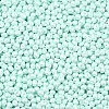 6/0 Glass Seed Beads X1-SEED-L011-08A-14-3