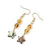 Natural Amber & Abalone Shell/Paua Shell Beads Dangle Earrings EJEW-JE07315-02-4