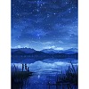 Starry Sky DIY Diamond Painting Kit PW-WGEE68B-04-1