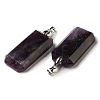 Natural Amethyst Pendants G-H286-05P-05-2