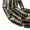 Natural Fuchsite Beads Strands G-D353-A18-4