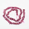 Chips Natural Tourmaline Beads Strands LS-G-N0164-04B-3