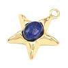 Natural Lapis Lazuli Pendants GG-G001-01G-01-2
