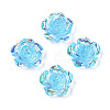 Transparent Resin Cabochons LS-CRES-N030-001B-02-1