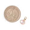 Natural Cultured Freshwater Pearl Two Sides Polished Charms PALLOY-JF04916-01-2