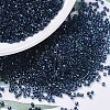 MIYUKI Delica Beads SEED-MY11-DB0286-1