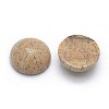 Natural Picture Jasper Cabochons G-P393-R51-4MM-2