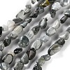 Natural Eagle Eye Stone Beads Strands X-G-P497-01C-52-1
