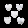 Handmade Lampwork Beads LAMP-K047-01B-1