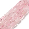 Natural Rose Quartz Beads Strands G-N327-06-17-1