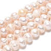 Natural Cultured Freshwater Pearl Beads Strands PEAR-N013-05O-01-2