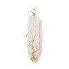 Natural Quartz Crystal Big Pendants PALLOY-JF01557-04-1