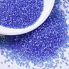 MIYUKI Delica Beads SEED-X0054-DB1250-1