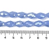 Opaque Solid Color Electroplate Glass Beads Strands EGLA-N013-J10mm-B06-4