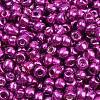 6/0 Glass Seed Beads E06900B4-1