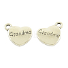 Tibetan Style Alloy Pendants TIBEP-5408-AS-FF-1