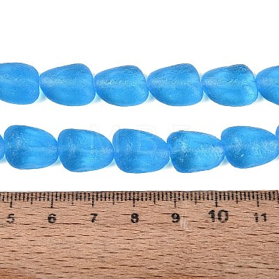 Frosted Handmade Lampwork Beads Strands LAMP-Q041-06B-1