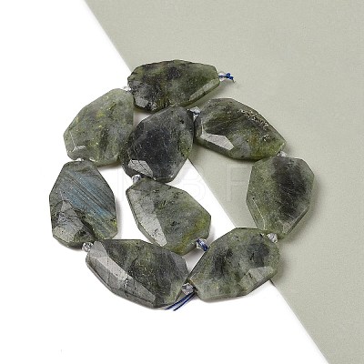 Natural Labradorite Beads Strands G-P548-B14-01-1