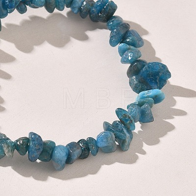 Natural Apatite Chip Beaded Stretch Bracelets for Women BJEW-D467-01B-1