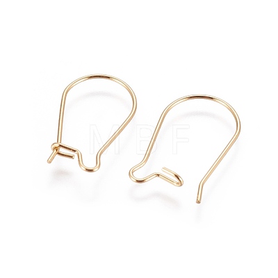 304 Stainless Steel Hoop Earring Finding STAS-E464-06G-1