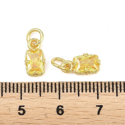 Brass Pave Cubic Zirconia Charms KK-K340-50G-09-1