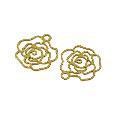 Spray Paint 430 Stainless Steel Charms STAS-C153-10B-1