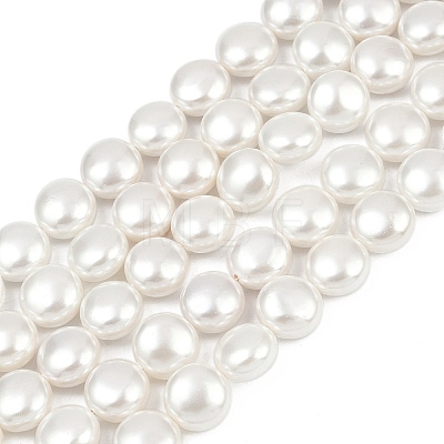 Electroplated Shell Pearl Beads Strands BSHE-G027-13B-1