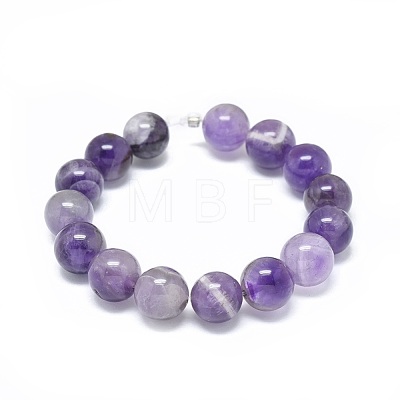 Natural Amethyst Beads Strands G-G791-11-B04-1