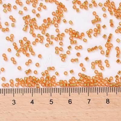 Cylinder Seed Beads X-SEED-H001-G10-1