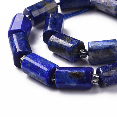 Natural Lapis Lazuli Beads Strands X-G-S345-8x11-002-1