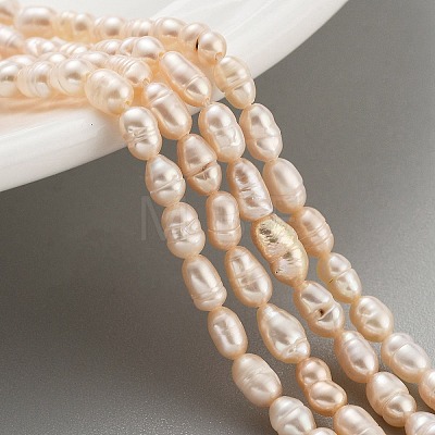 Natural Cultured Freshwater Pearl Beads Strands PEAR-P062-01B-1