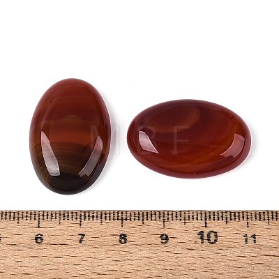 Natural Red Agate(Dyed & Heated) Cabochons G-N361-05B-05-1