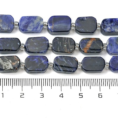 Natural Sodalite Beads Strands G-C098-A08-01-1