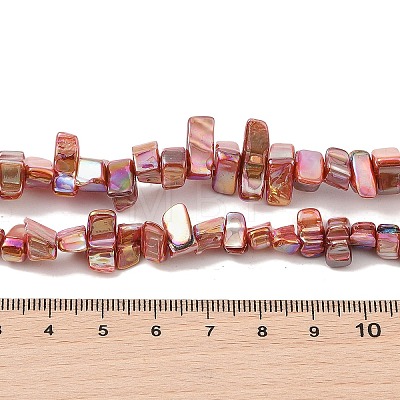 Natural Freshwater Shell Beads Strands BSHE-H018-07-1