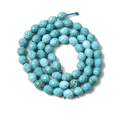 Dyed Natural Howlite Beads Strands G-K376-F06-01-1
