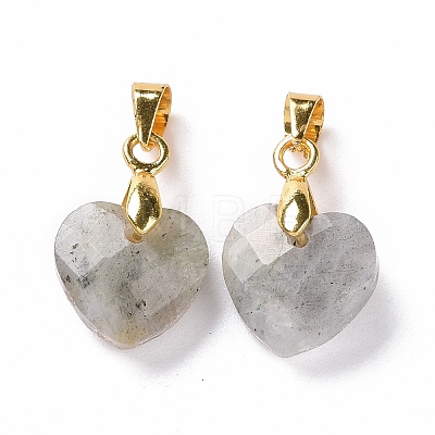 Natural Labradorite Pendants G-C023-07K-1