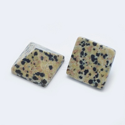 Natural Dalmatian Jasper Cabochons G-G759-Y07-1