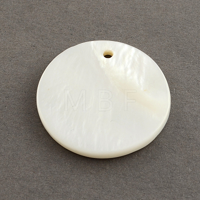 Flat Round Sea Shell Charms SSHEL-R025-11.5mm-1